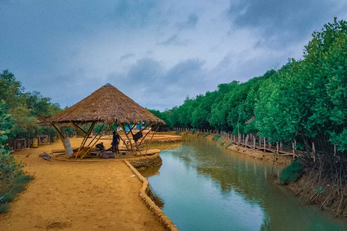 ALAM. Potret Mangrove Kedatim yang memikat pengunjung, sebab dapat berjalan menyusuri jembatan kayu yang estetik dan sangat cocok sebagai spot berfoto. (Dok. Redaksi Linkking.id)