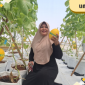 POTENSI: salah satu green house melon premium yang berada di daerah Gapura, Sumenep. (Dok. Redaksi)