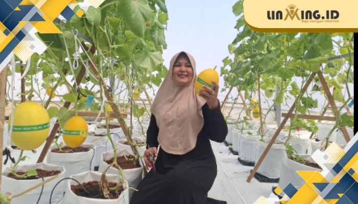 POTENSI: salah satu green house melon premium yang berada di daerah Gapura, Sumenep. (Dok. Redaksi)